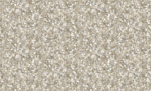 Bruno Zoff Gold 60124-4