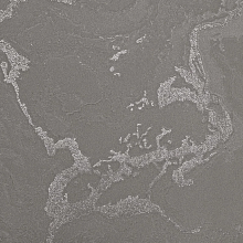 Коричневые обои в прихожую Bernardo Bartalucci Gaga  84282-21