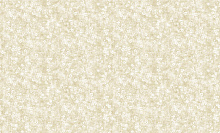 Bruno Zoff Gold 60124-2