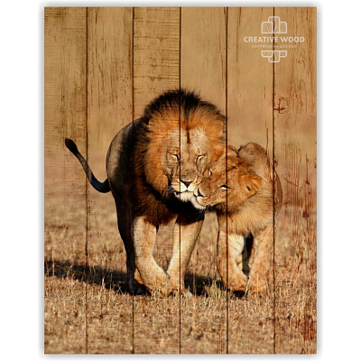 Картины ZOO - 31 Лев и львица, ZOO, Creative Wood Картины ZOO - 31 Лев и львица, ZOO, Creative Wood