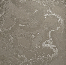 Коричневые обои в прихожую Bernardo Bartalucci Gaga  84282-23