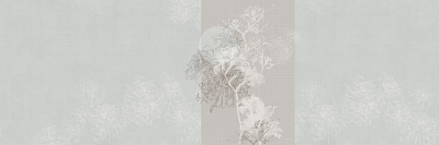 Фотообои DELINEA 5, CREATIVE, Factura Фотообои DELINEA 5, CREATIVE, Factura